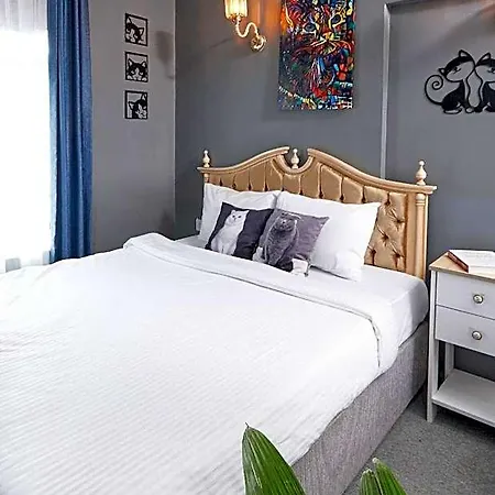 Galata Pearl Hotel Estambul